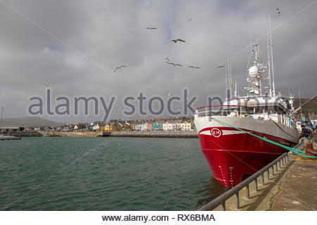 Dingle, Irland. 08 Mär, 2019. Vögel ein Boot im warmen Sonnenschein in Kenmare, County Kerry an diesem Nachmittag. Credit: Clearpix/Alamy leben Nachrichten Stockfoto