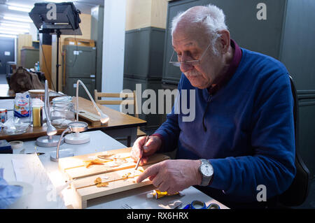 Wiesbaden, Deutschland. 15 Feb, 2019. Peter Mischler, ehrenamtlicher Mitarbeiter, Museum für den Schmetterling Sammlung im Magazin des Landesmuseums Wiesbaden interessieren. (Dpa' im Kampf gegen die Pest: Freiwillige pflegen Museum Collection" vom 09.03.2019) Credit: Silas Stein/dpa/Alamy leben Nachrichten Stockfoto