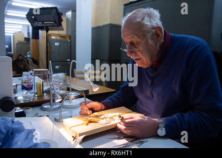 Wiesbaden, Deutschland. 15 Feb, 2019. Peter Mischler, ehrenamtlicher Mitarbeiter, Museum für den Schmetterling Sammlung im Magazin des Landesmuseums Wiesbaden interessieren. Credit: Silas Stein/dpa/Alamy leben Nachrichten Stockfoto