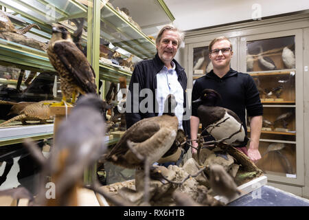 Wiesbaden, Deutschland. 15 Feb, 2019. Ulrich Kaiser, Biologe und Kurator (l) und Lukas Hartmann, Biologe und Museum Freiwillige, lächeln in die Kamera des Fotografen im Landesmuseum Wiesbaden. (Dpa' im Kampf gegen die Pest: Freiwillige pflegen Museum Collection" vom 09.03.2019) Credit: Silas Stein/dpa/Alamy leben Nachrichten Stockfoto