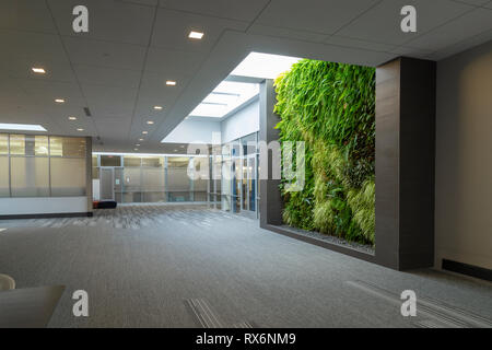 Große, moderne Flur in kommerziellen Bürogebäude Stockfoto
