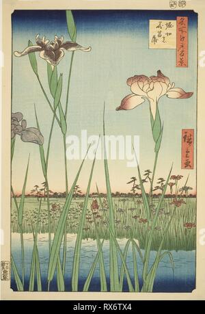 Iris bei Horikiri (Horikiri keine hanashobu), aus der Serie "100 berühmten Ansichten von Edo (Meisho Edo hyakkei)". Utagawa Hiroshige?? ??; Japanisch, 1797-1858. Datum: 1857. Abmessungen: 36 x 24,5 cm (14 1/4 x 9 5/8 in.). Farbe holzschnitt; Oban. Herkunft: Japan. Museum: Das Chicago Art Institute. Autor: Utagawa Hiroshige. Durch Uoya Eikichi Utagawa Hiroshige I. veröffentlicht. Stockfoto