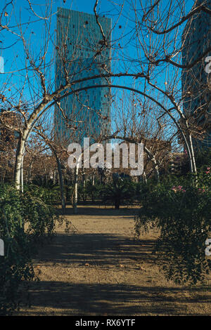 Parc del Centre del Poblenou, ein gepflegter Park und Garten im Stadtteil Sant Marti von Barcelona, Katalonien, Spanien. Stockfoto