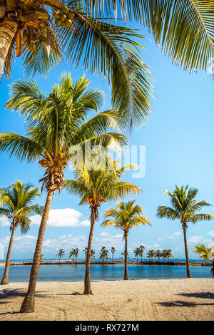 Die runde Strand bei Matheson Hängematte County Park Miami Florida Stockfoto