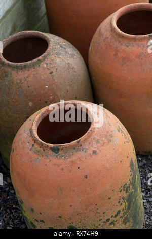 Terrakotta forcer für wachsende Rhabarber in einem Gemüsegarten. Großbritannien Stockfoto