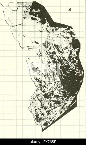 Die Ökologie der delta Sümpfe die Ökologie der delta Sümpfe des Coastal Louisiana: eine Gemeinschaft Profil ecologyofdeltama 00 goss Jahr: 1984 Stockfoto