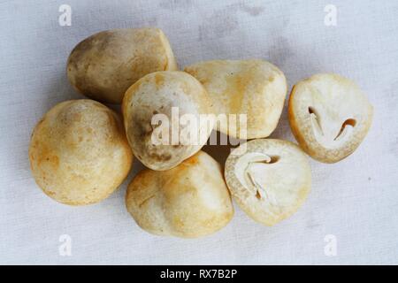 Blick auf den Strohpilz aus der Höhe. Stockfoto