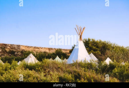 Weiße Leinwand teepees (oder wigwams) lagerten in einem Feld unter einem klaren blauen Himmel Stockfoto