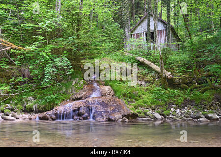 Alte Holzhütte neben einem kleinen Bach im tiefen Wald. Bayern, Deutschland Stockfoto