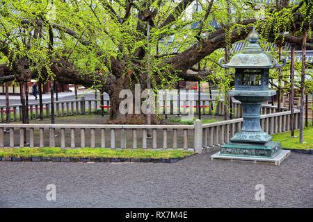 Kyoto, Japan - berühmte Nishi Honganji Tempel Garten. Buddhistische Tempel von jodo-shin Schule. Teil des UNESCO-Weltkulturerbe. Stockfoto