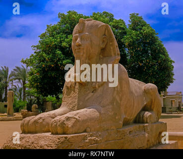 Die riesigen Alabaster Sphinx (zwischen 1700 und 1400 v. Chr.). Ruinen von Memphis. Ägypten. Afrika Stockfoto