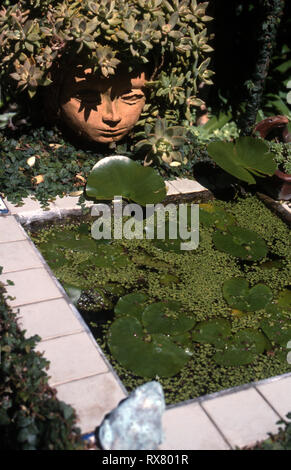 KLEINER BEFLECKTER GARTENTEICH MIT WASSERPFLANZEN, SUCCULENTEN IN EINEM TERRAKOTTA-KOPFTOPF, DER DEN TEICH ÜBERBLICKT. SYDNEY, AUSTRALIEN. Stockfoto