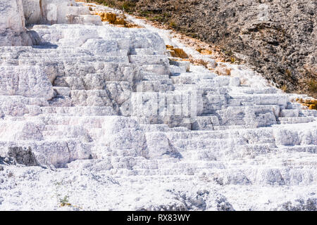 Trockene weiße mineralische Ablagerungen in Mammoth Hot Springs Stockfoto