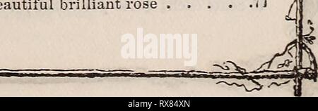 E Fred Washburn's Amateur Kultivator E. Fred Washburn's Amateur kultivator Leitfaden für die Blume &; Küche Garten für 1880 efredwashburnsam 1880 waschen Jahr: 1880. John Bull. Licht - Schwefel weiß. Besten weißen für Floristen 15 T.e Tizian. Bright Scarlet, sehr eflPective, .50 Lord Byron. Bright Scarlet, rein weissen Kehle 15 Louis Van Houtte. Strahlend rot. . .10 Mirabilis. Fein hell-rot .20 Mazeppa Orange Rot, gestreift weiß. .15 Meteor. Hell dunkel rosa, rein weissen Kehle 30 Meyerbeer. Brillante Scarlet, geflammt ver-milion, amaranth Spots 40 Neptun. Fein rot, gestreift Carmine. .10 Nestor. Stockfoto