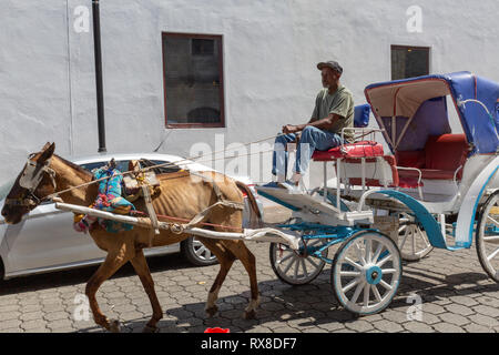 Pferdekutschenfahrt und Santo Domingo Stockfoto