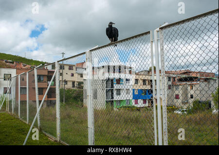 Donmatias, Antioquia, Kolumbien: Public Library' Eduardo Perez Lopera'. Stockfoto