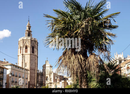 Valencia, mittelalterliche El Micalet Glockenturm an der Kathedrale, Palme, Plaza de la Reina, Altstadt, Spanien Stockfoto
