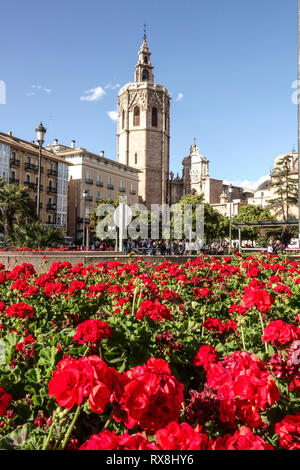 Spanien Turm der Kathedrale von Valencia, Plaza de la Reina Platz Valencia Frühling Stockfoto