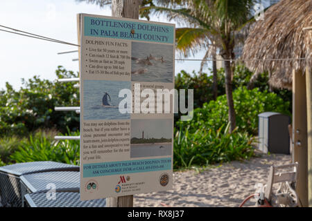 Palm Beach Marriott Singer Island Beach Resort & Spa, Singer Island, Florida Stockfoto