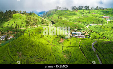 Antenne. Berühmten grünen Tee Plantage Querformat von Lipton Seat, Haputale, Sri Lanka. Stockfoto