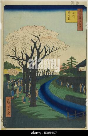 Blüten auf die Tama River Embankment (Tamagawa - zutsumi no hana), aus der Serie "100 berühmten Ansichten von Edo (Meisho Edo hyakkei)". Utagawa Hiroshige?? ??; Japanisch, 1797-1858. Datum: 1856. Abmessungen: . Farbe holzschnitt; Oban. Herkunft: Japan. Museum: Das Chicago Art Institute. Stockfoto