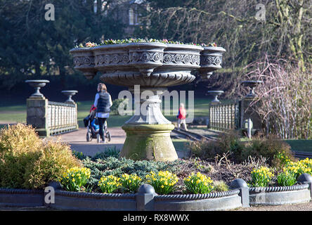 Buxton Pavilion Gardens Stockfoto