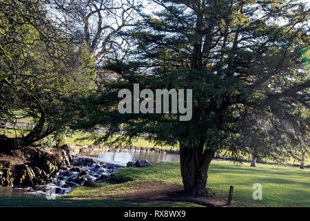 Buxton Pavilion Gardens Stockfoto