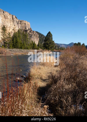 Die gallatin River fließt im Yellowstone National Park vorbei an Felsen und Herbst Vegetation. Stockfoto