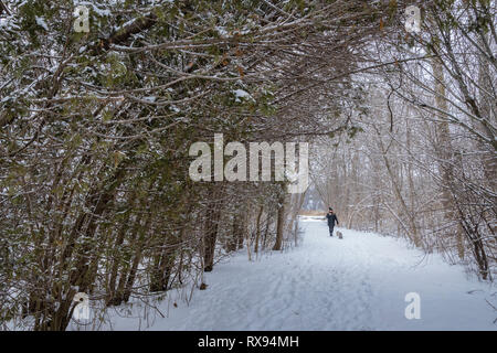 Frau gehen mit ihrem Hund auf einem Weg in ein Winterwunderland. Stockfoto