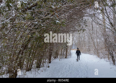 Frau gehen mit ihrem Hund auf einem Weg in ein Winterwunderland. Stockfoto