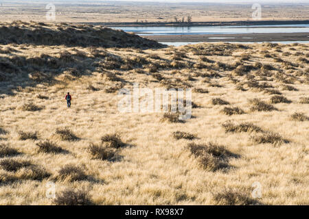 Ein Mann Wanderungen in Richtung nur frei fließenden Teil des Columbia River im Osten Washington in der Nähe von Hanford Reach, USA. Stockfoto