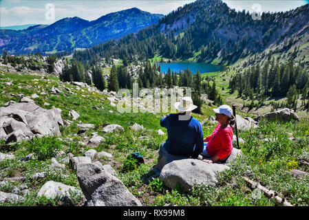 Bergsee und Wildblumen in den frühen Sommer. Stockfoto