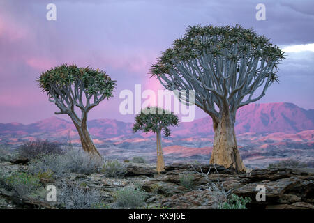 Ein rosa Himmel Umschläge ein Regenbogen bei Sonnenuntergang in Namibs Tal der 1000 Hügel in der Nähe von Sossusvlei, Namibia. Stockfoto