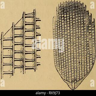 Ökonomische Entomologie (1877) Stockfoto