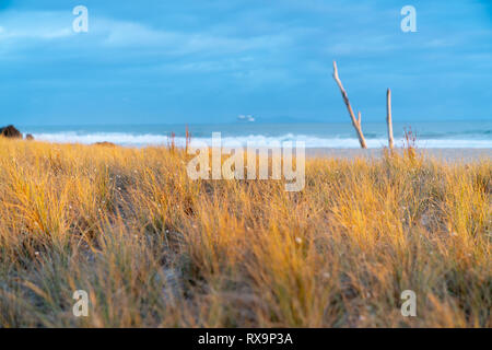 Strand Gras golden Sunrise selektiven Fokus mit dem Blau des Meeres und des Himmels darüber hinaus. Stockfoto