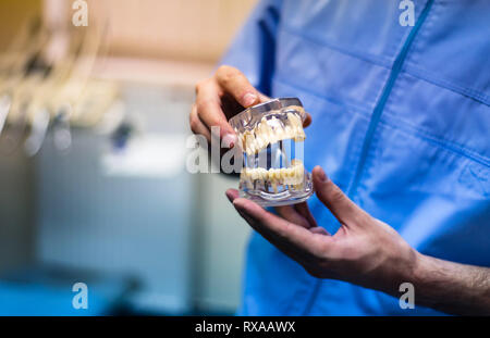 Zahnarzt mit einem menschlichen Kiefers Modell im Büro Stockfoto