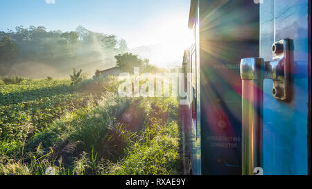 Zug von Ella nach Kandy. Sri Lanka. Stockfoto