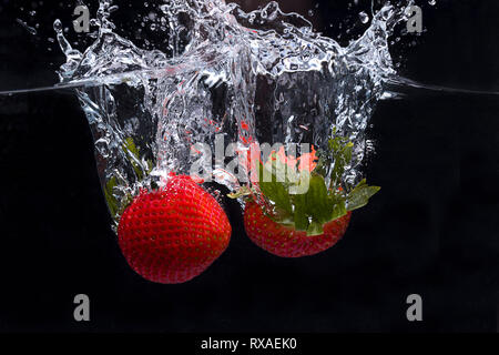 Zwei Erdbeeren sind in Wasser vor einem schwarzen Hintergrund ein Spritzen ließ. Stockfoto