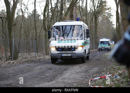 Kummersdorf Bei Storkow, Deutschland. 08 Mär, 2019. Brandenburg: Suche Betrieb der Bereitschaftspolizei mit Hunde und Hubschrauber im Wald nach dem fehlenden Rebecca aus Berlin. Die Waldfläche ist im Südosten von Berlin in der Nähe von Storkow. Die 15-jährige Studentin fehlt seit dem 18. Februar 2019. Quelle: Simone Kuhlmey/Pacific Press/Alamy leben Nachrichten Stockfoto