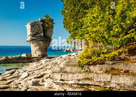 Kleine "Blumentopf" (Meer stack) im Morgenlicht, Blumentopf Insel, Fathom Five National Marine Park, Ontario, Kanada Stockfoto