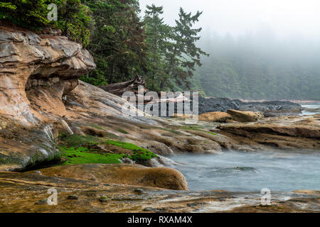 Botanical Beach, Juan de Fuca Trail, Port Renfrew, Vancouver Island, BC Kanada Stockfoto