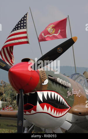 P-40 Warhawk die Jacky C. im Static Display auf der Mid Atlantic Air Museum WWII Wochenende in Reading Pennsylvania Stockfoto