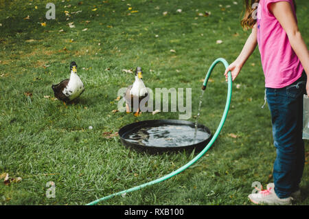 Low-Feld der Mädchen gießt Wasser im Behälter für Enten auf der Wiese im Hof Stockfoto