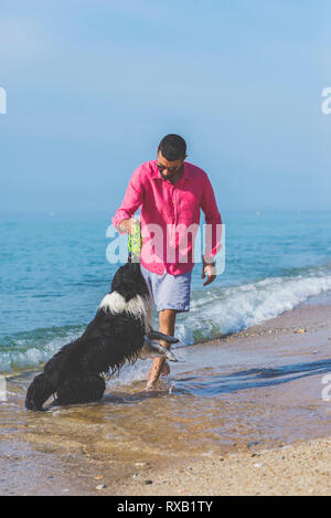 Mann spielt mit Hund am Strand gegen blauen Himmel während der sonnigen Tag Stockfoto