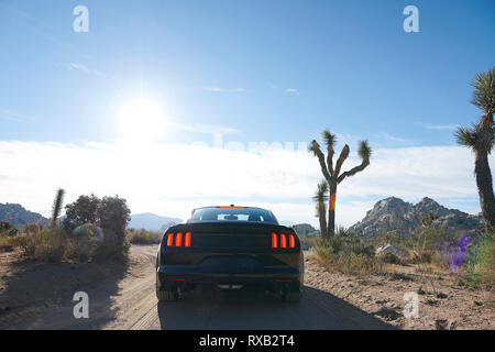 Auto bewegen auf Schmutz Straße gegen den Himmel während der sonnigen Tag im Joshua Tree National Park Stockfoto