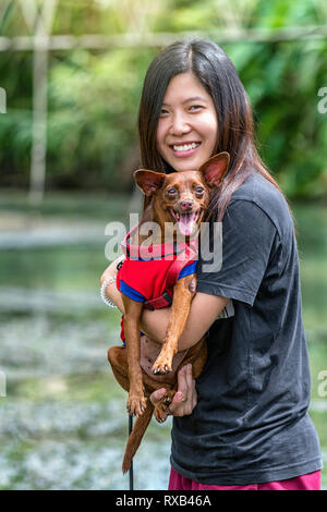 Die asiatische Frauen mini Hund in brauner Farbe über den See im Resort im tiefen Wald, Liebhaber und Tiere mit der Natur Konzept Stockfoto