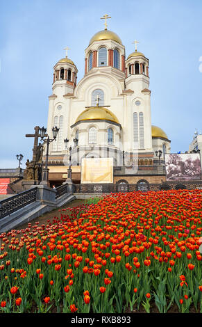 Jekaterinburg, Russland - 30. MAI 2015: Blick auf die Kirche auf Blut zu Ehren aller Heiligen erstrahlt in der Russischen Land mit roten Tulpen auf foregrou Stockfoto