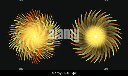 Eingestellt von Zierpflanzen glänzend Mandalas in verschiedenen Formen Stockfoto