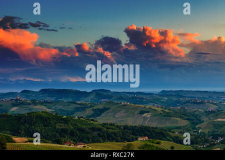 Blick von oben auf grünen Hügeln mit Weinbergen unter schönen Abendhimmel in Piemont, Norditalien. Stockfoto