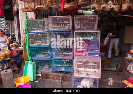 Ein Pet Shop mit mehreren Vogelkäfige auf Anzeige außerhalb, Hanoi, Vietnam Stockfoto